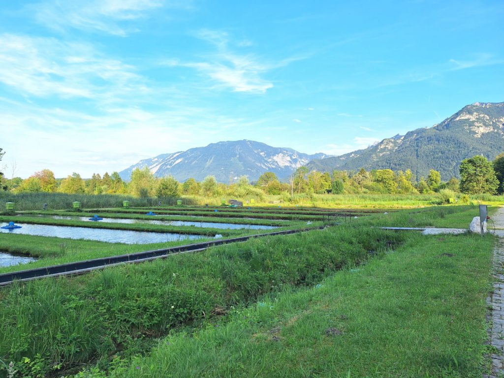 Besichtigung Fischzucht Karlstein