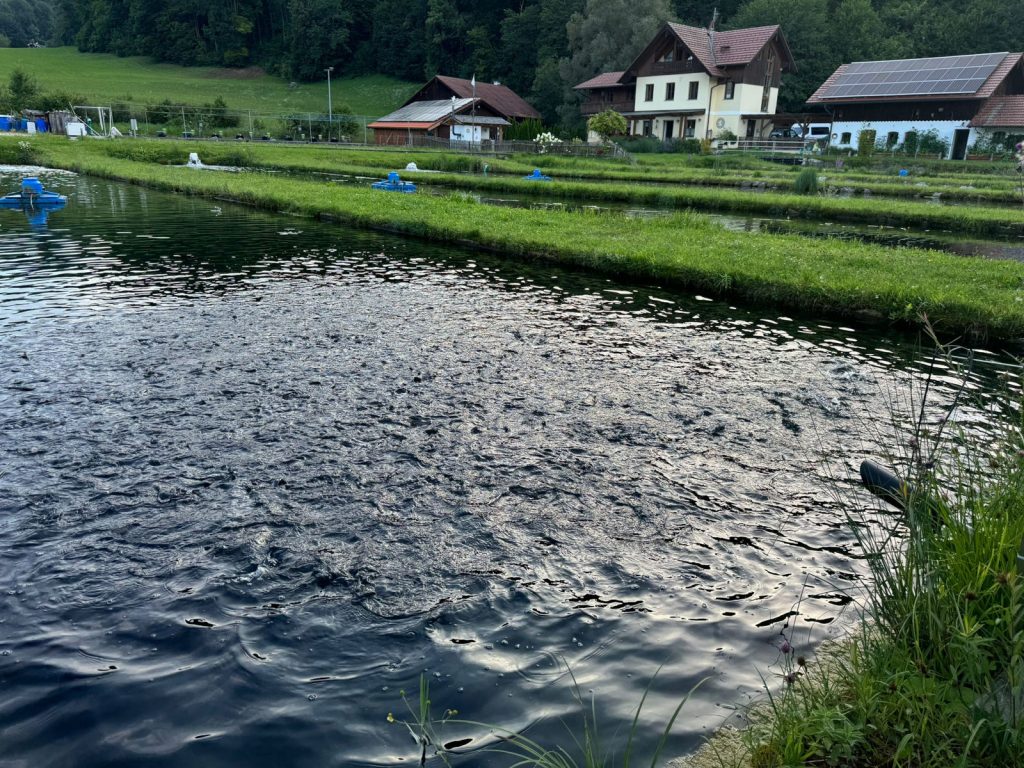Besichtigung Fischzucht Karlstein