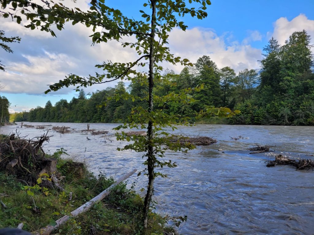 Besichtigung Uferaufweitung Saalach
